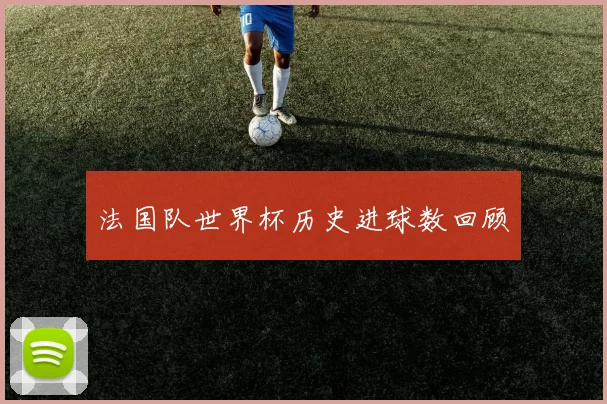 法国队世界杯历史进球数回顾