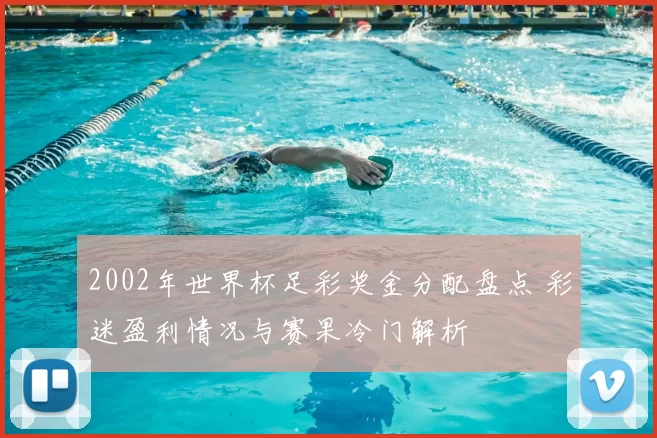 2002年世界杯足彩奖金分配盘点 彩迷盈利情况与赛果冷门解析