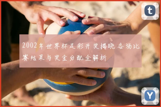 2002年世界杯足彩开奖揭晓 各场比赛结果与奖金分配全解析