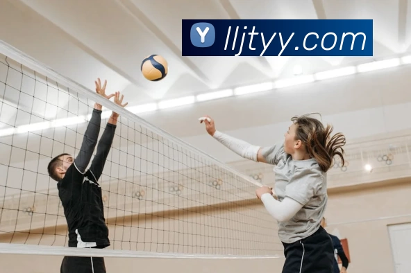 开云Kaiyun(中国) - 官方网站平台生态图