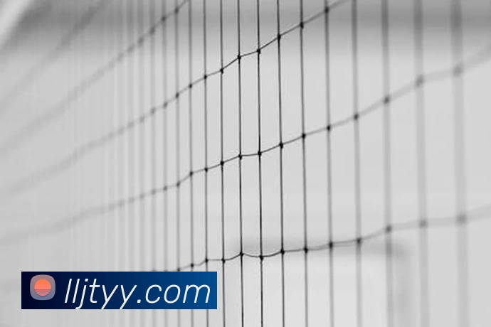 辅助工具 辅助工具